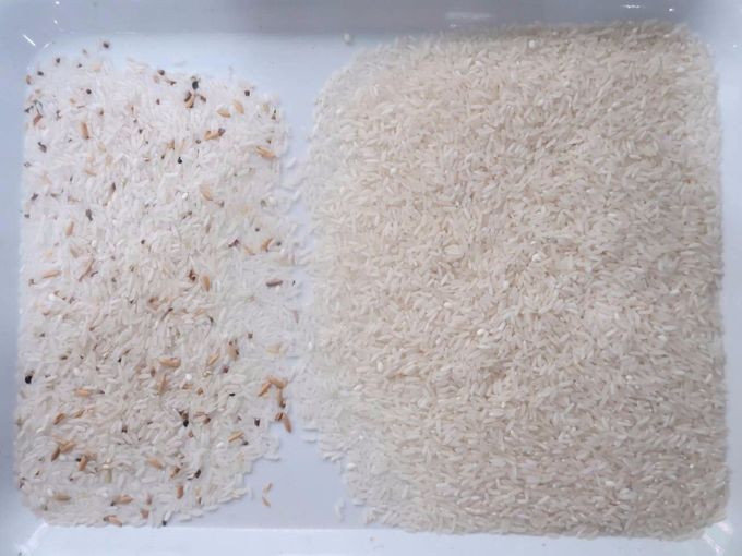 Máy phân loại màu gạo CCD, Máy phân loại màu, Bộ chọn màu cho hạt, ngũ cốc, lúa mì, ngô, đậu phộng,
